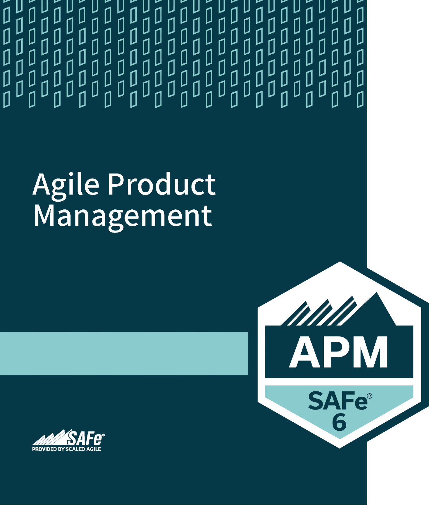 Agile Product Management